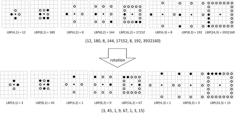 Fig. 4