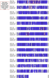 Supplementary Fig. S1
