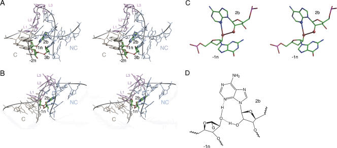 FIGURE 4.