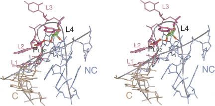 FIGURE 10.