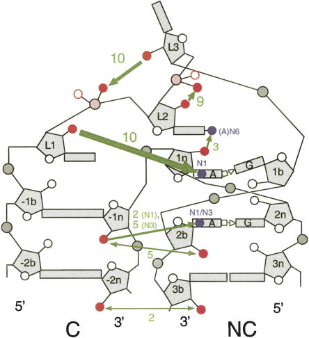 FIGURE 8.