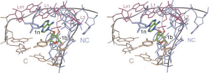 FIGURE 9.