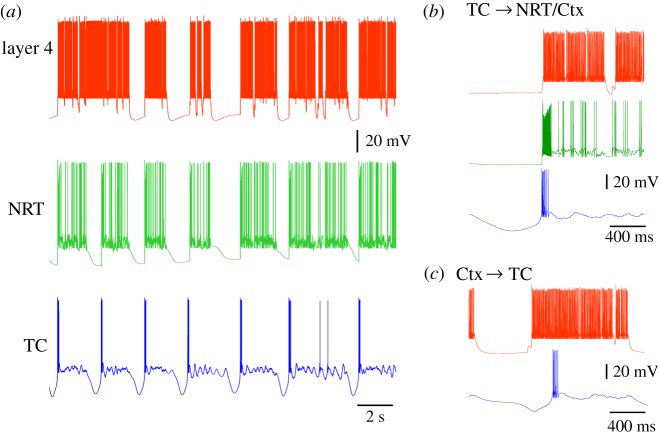 Figure 5.