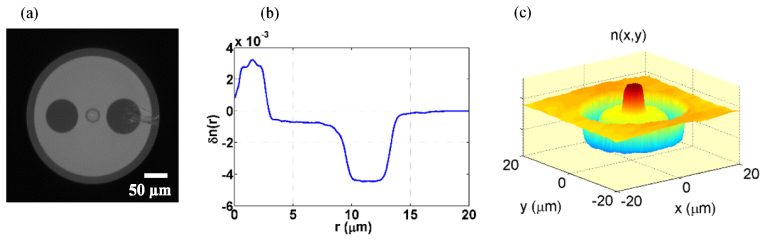 Fig. 2