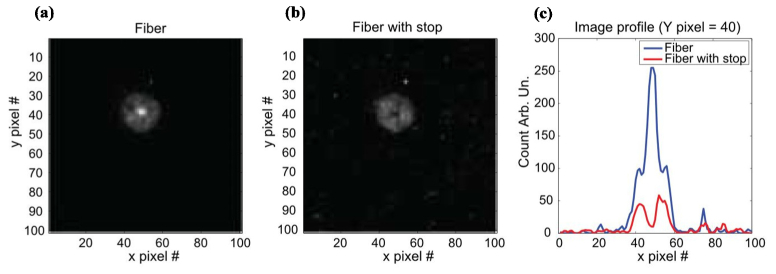 Fig. 10