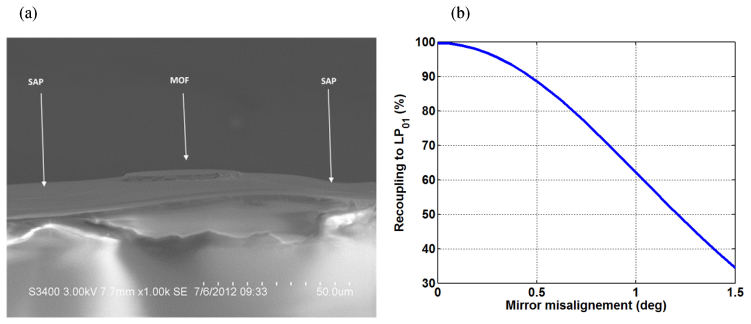 Fig. 11