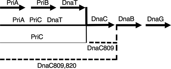 FIG 1