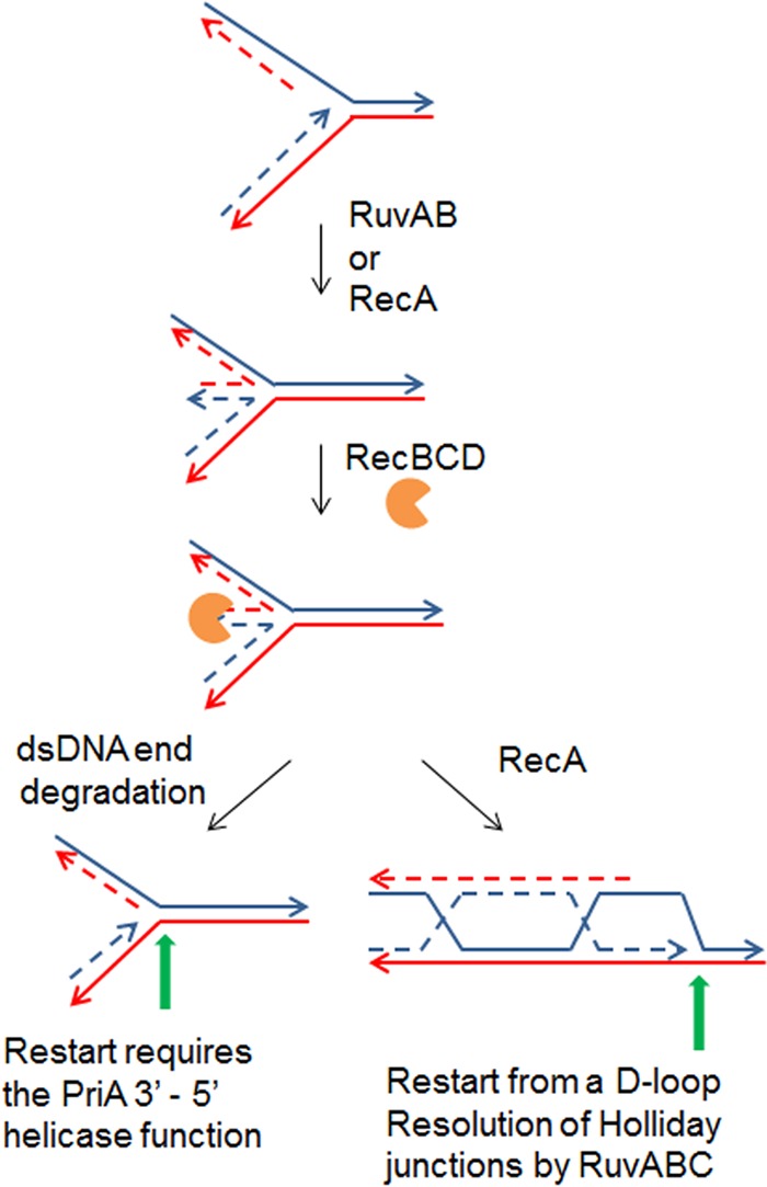 FIG 5