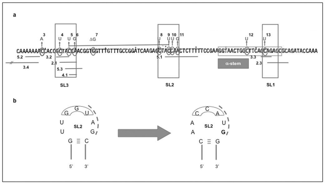 Fig. (6)