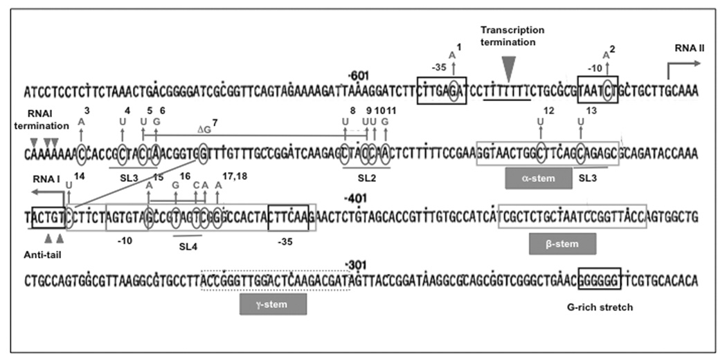 Fig. (5)