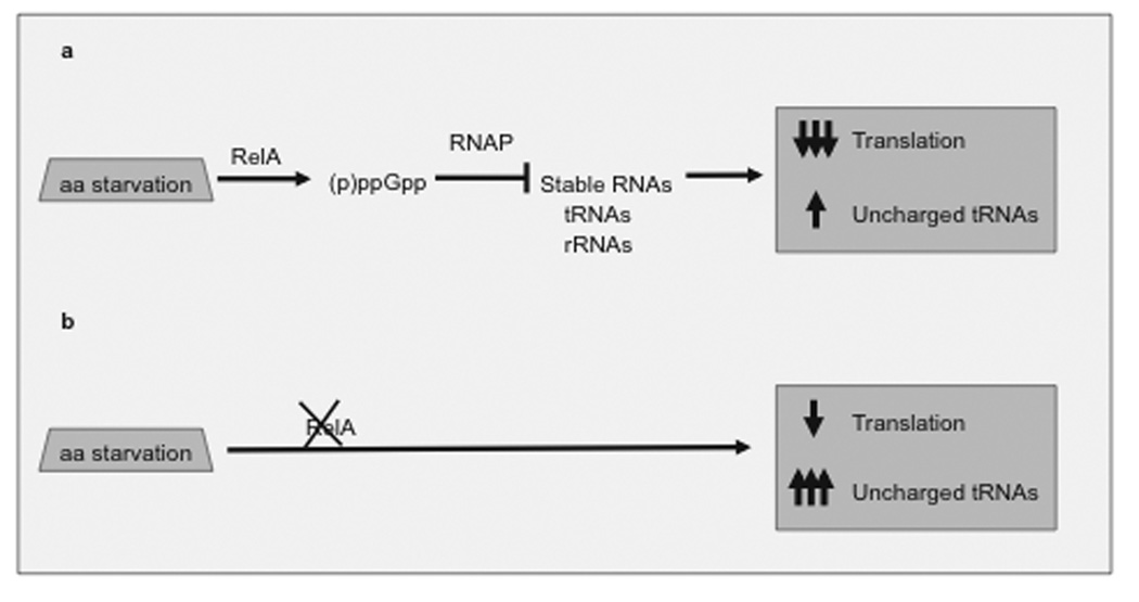 Fig. (3)