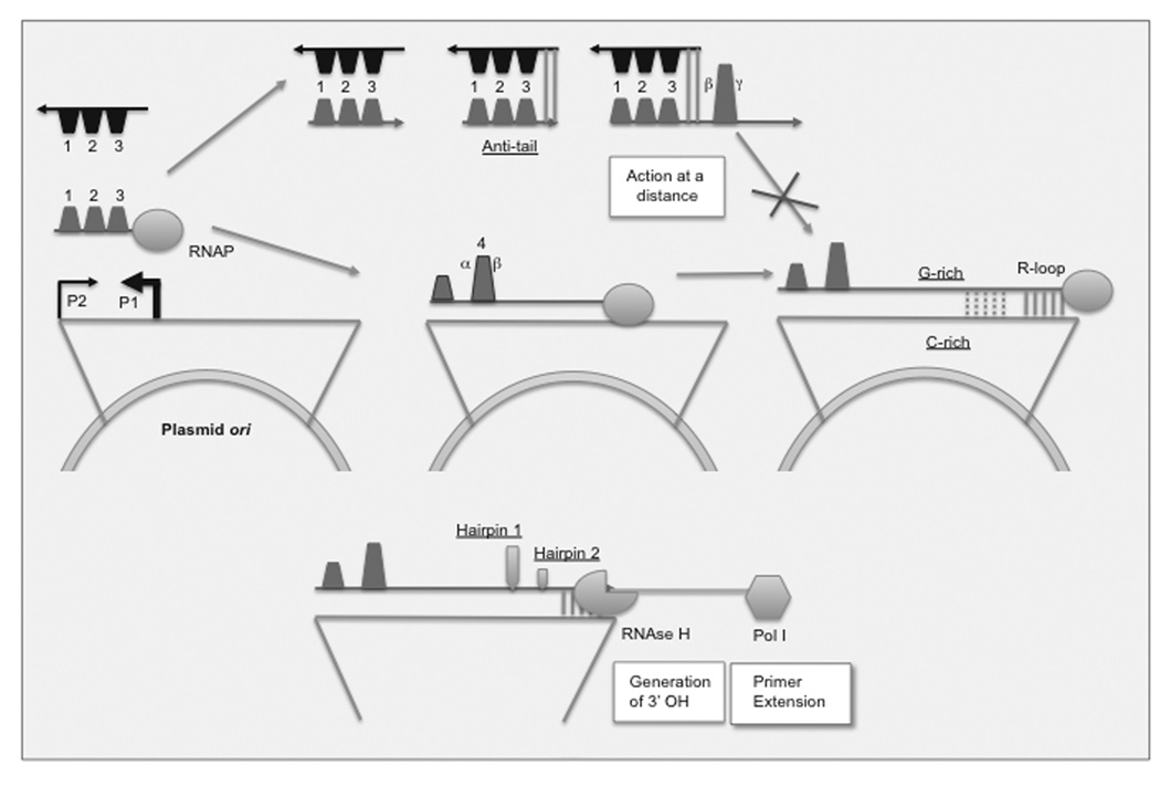 Fig. (1)