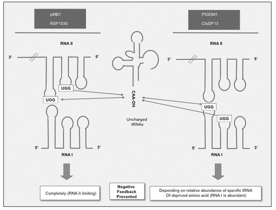 Fig. (4)