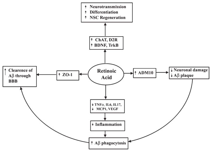 Fig. 11