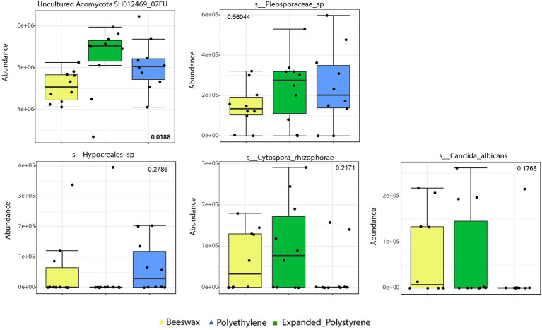 Figure 5