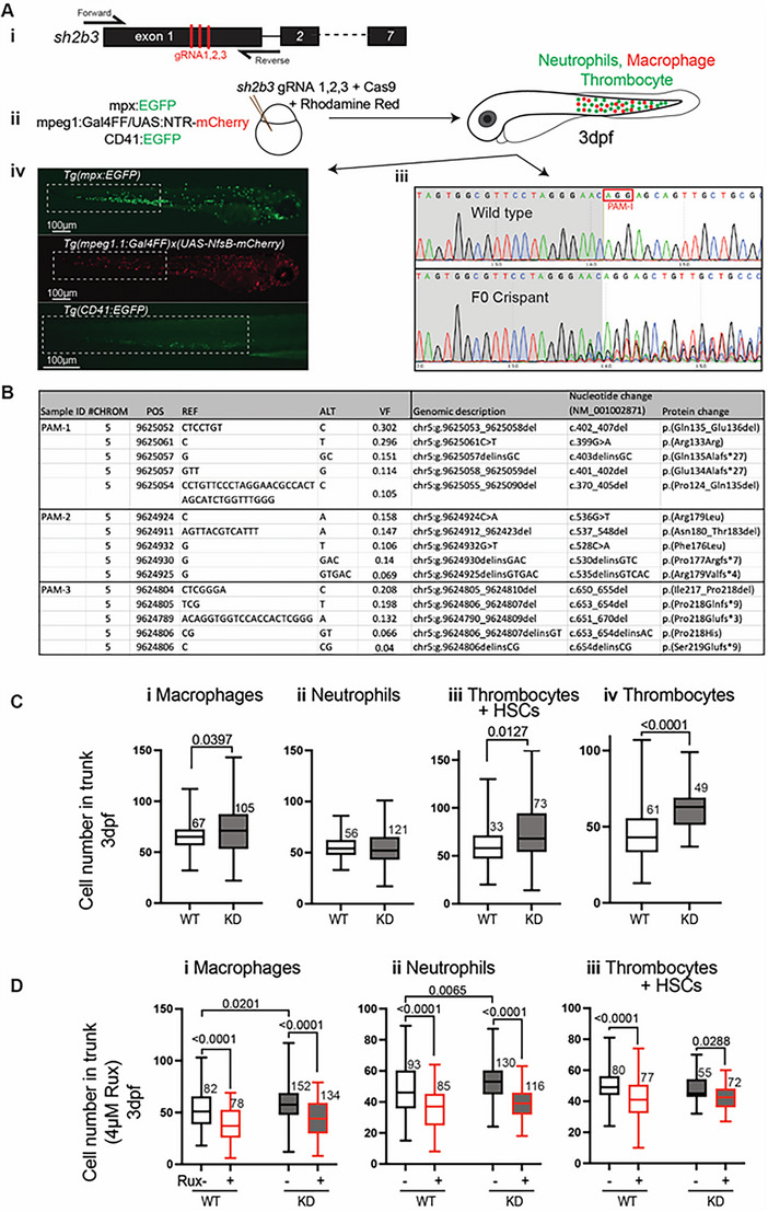 FIGURE 2