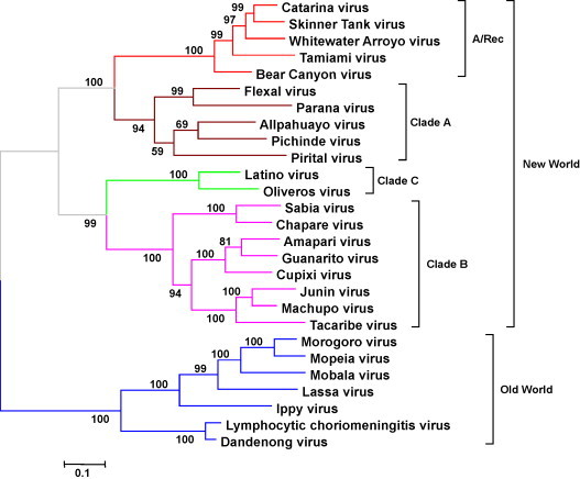 Fig. 3