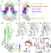 Fig. 2