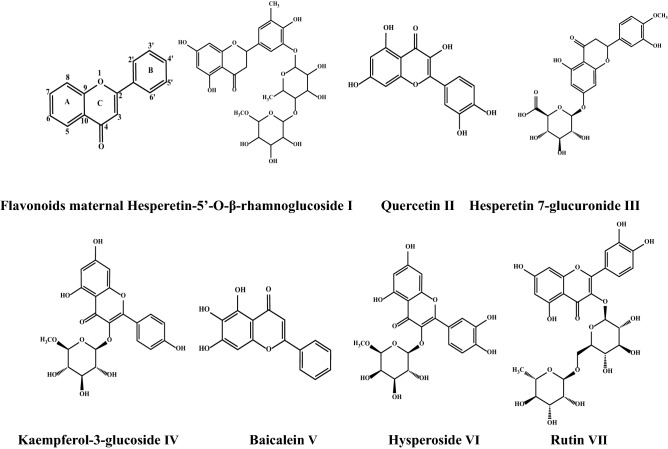 Figure 9