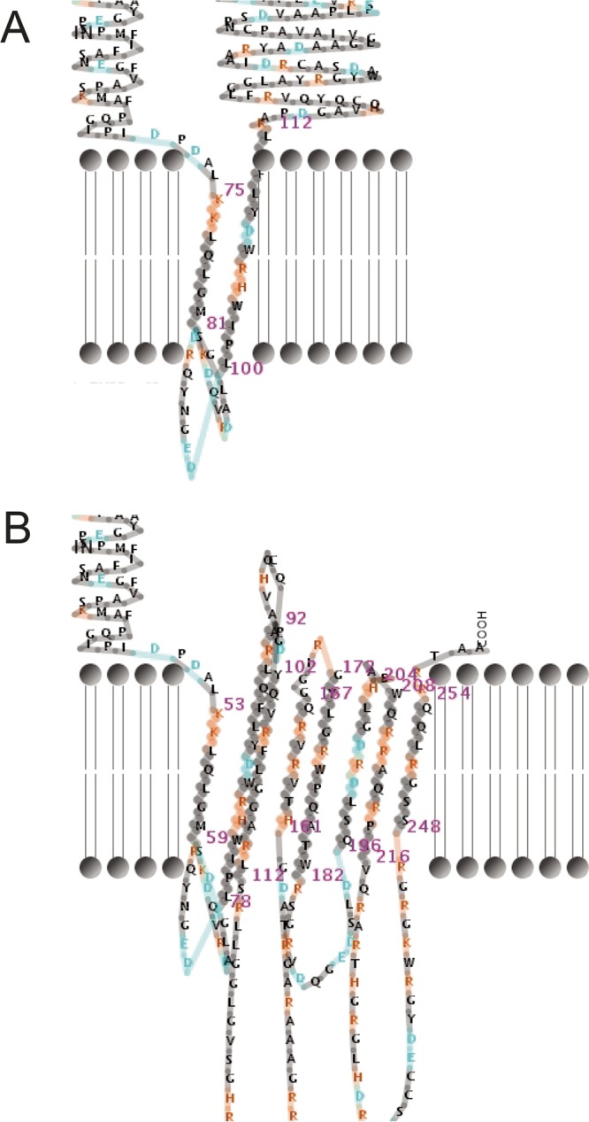 FIG 3 