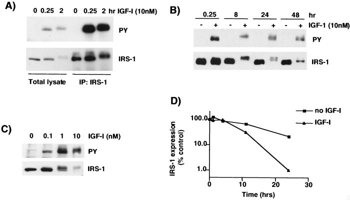 FIG. 1