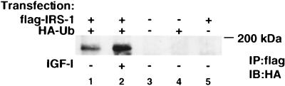 FIG. 6