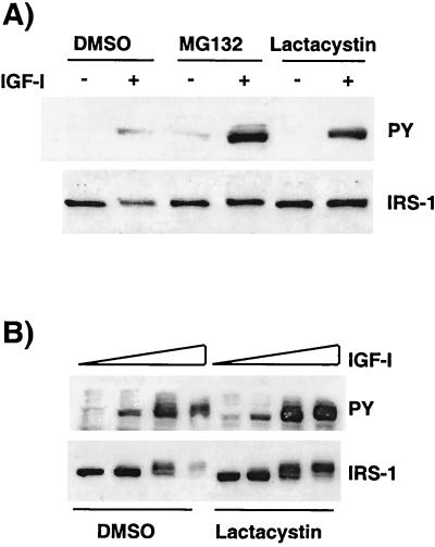 FIG. 5