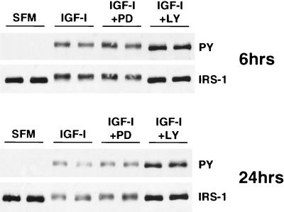 FIG. 7