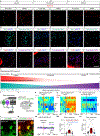 Extended Data Fig. 8 |