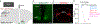 Extended Data Fig. 9 |