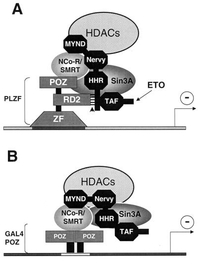 FIG. 7