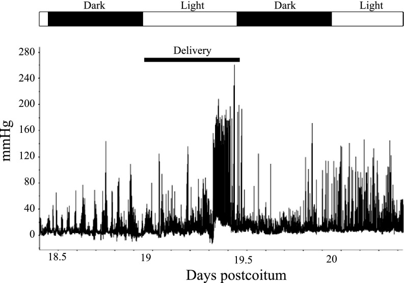 Fig. 2.