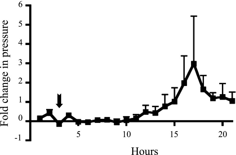 Fig. 5.