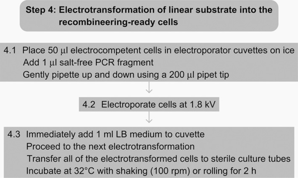 Figure 7.7