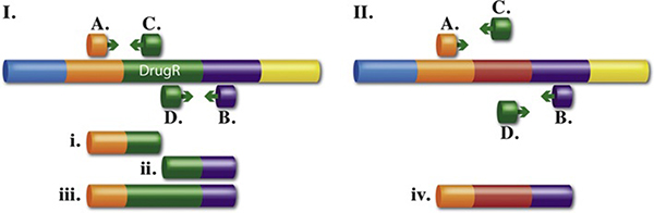 Figure 7.3