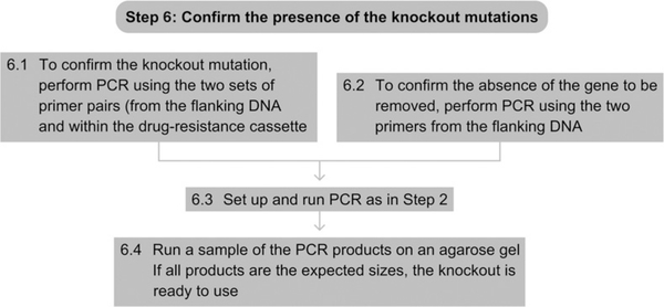 Figure 7.9