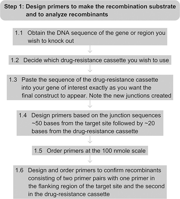 Figure 7.4