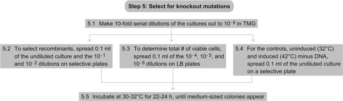 Figure 7.8