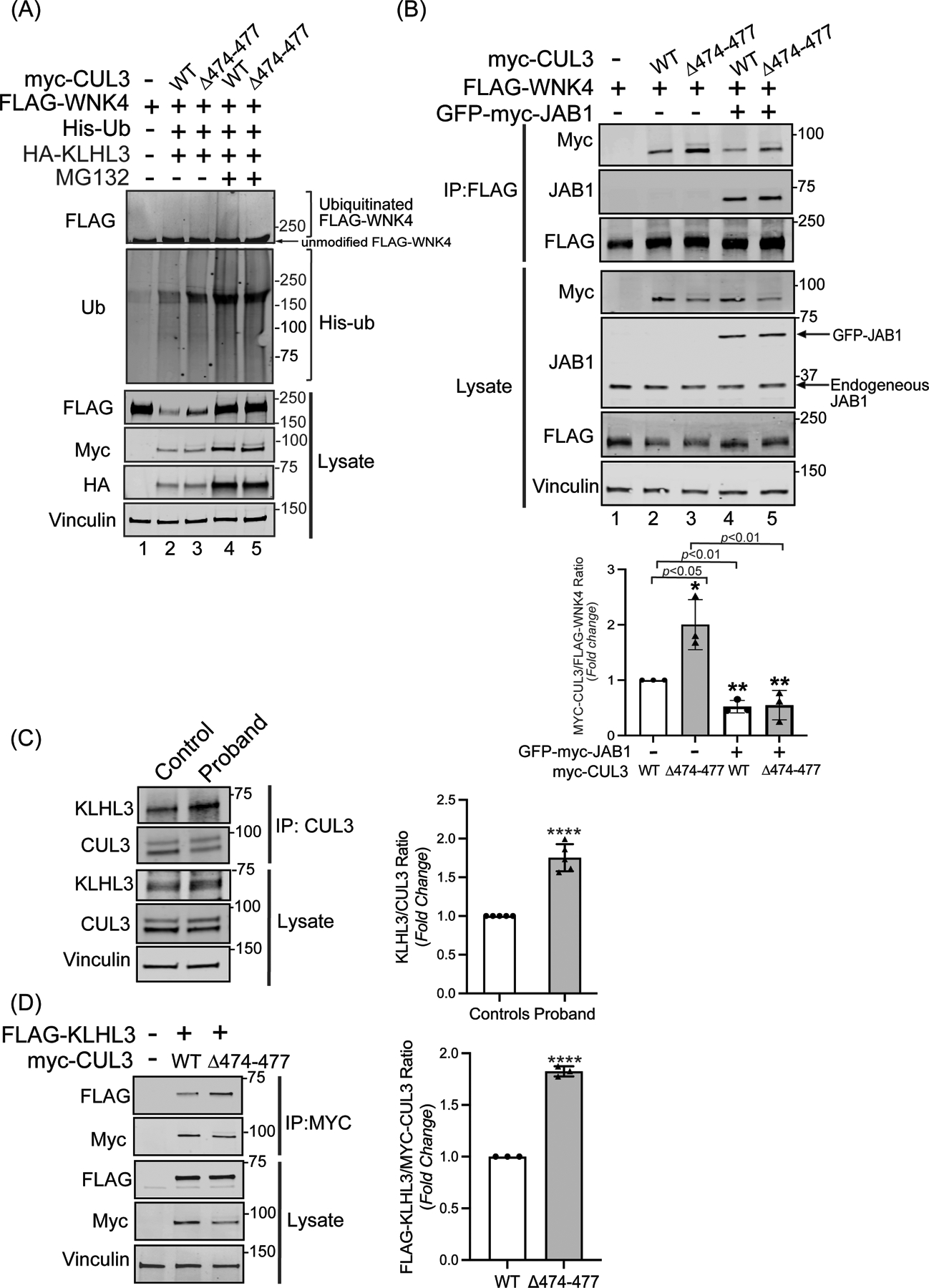 Figure 4: