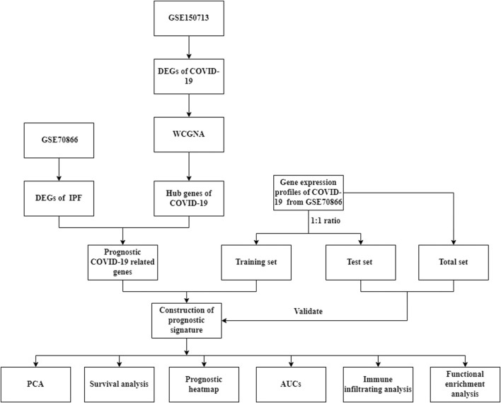 FIGURE 1