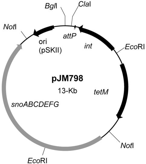 FIG. 5.