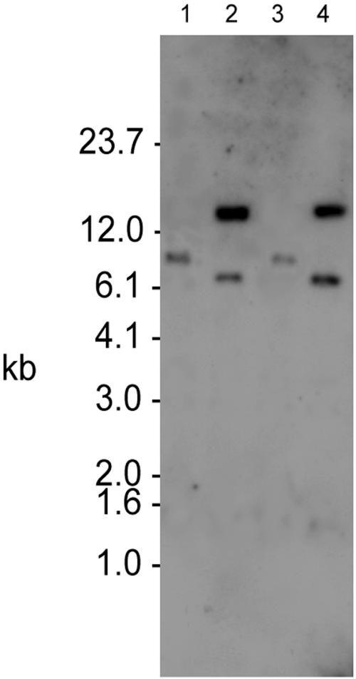 FIG. 6.