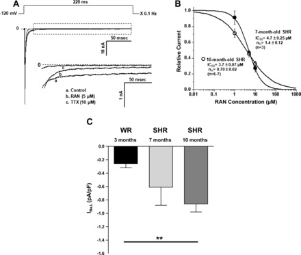 Fig. 8.