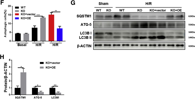 Figure 5