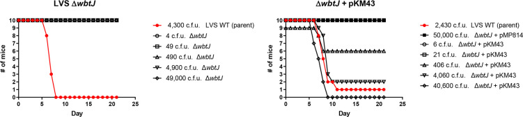 Fig. 9.