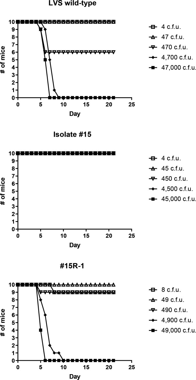 Fig. 8.