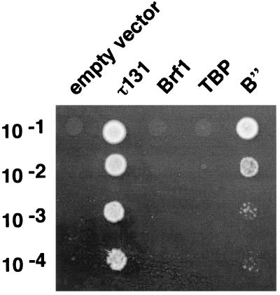 FIG. 7.