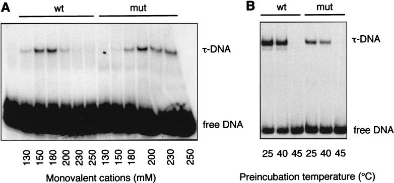 FIG. 5.