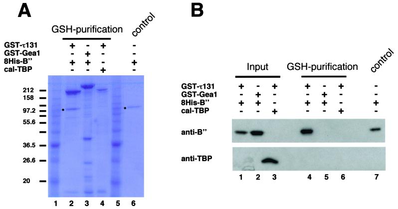 FIG. 9.