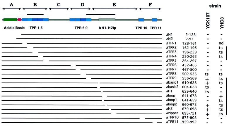 FIG. 2.